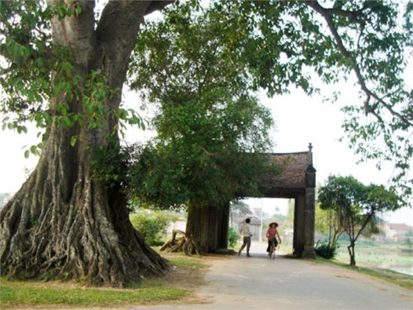 Công trình du lịch Văn Hóa - Thể Thao